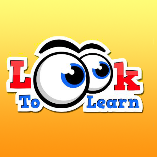 LookToLearn Assessment-Software Einzellizenz Einzellizenz